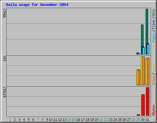 Daily usage for December 2024