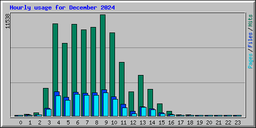 Hourly usage for December 2024