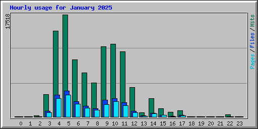 Hourly usage for January 2025