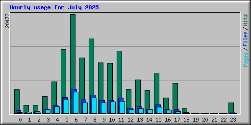 Hourly usage for July 2025